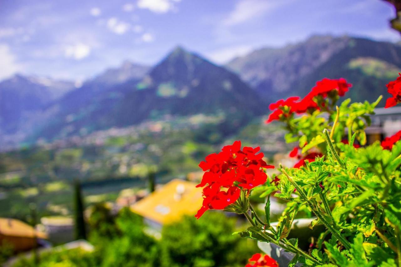Schenna Garni Eden Bed & Breakfast Kültér fotó